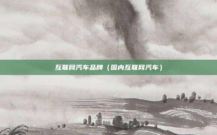 互联网汽车品牌(国内互联网汽车)