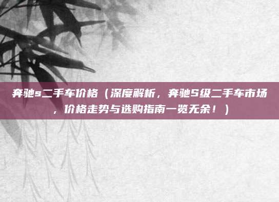 奔驰s二手车价格(深度解析,奔驰S级二手车市场,价格走势与选购指南一览无余!)