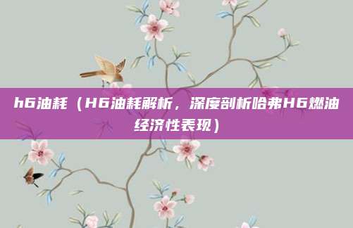 h6油耗(H6油耗解析,深度剖析哈弗H6燃油经济性表现)