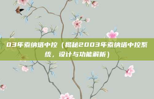 03年索纳塔中控(揭秘2003年索纳塔中控系统,设计与功能解析)
