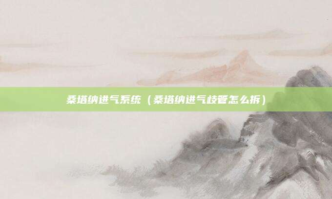 桑塔纳进气系统(桑塔纳进气歧管怎么拆)