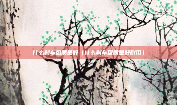 什么刹车盘质量好(什么刹车盘质量好耐用)