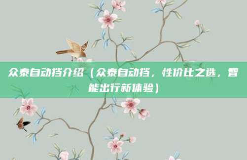 众泰自动挡介绍(众泰自动挡,性价比之选,智能出行新体验)
