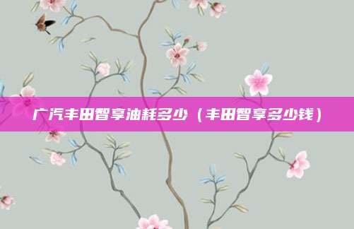 广汽丰田智享油耗多少(丰田智享多少钱)