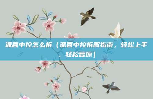 派喜中控怎么拆(派喜中控拆解指南,轻松上手,轻松复原)