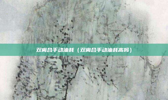 双离合手动油耗（双离合手动油耗高吗）