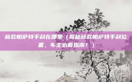 新款帕萨特手刹在哪里（揭秘新款帕萨特手刹位置，车主必看指南！）