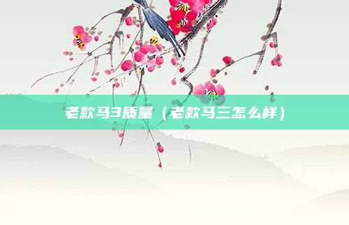 老款马3质量(老款马三怎么样)
