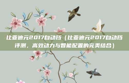 比亚迪元2017自动挡(比亚迪元2017自动挡评测,高效动力与智能配置的完美结合)