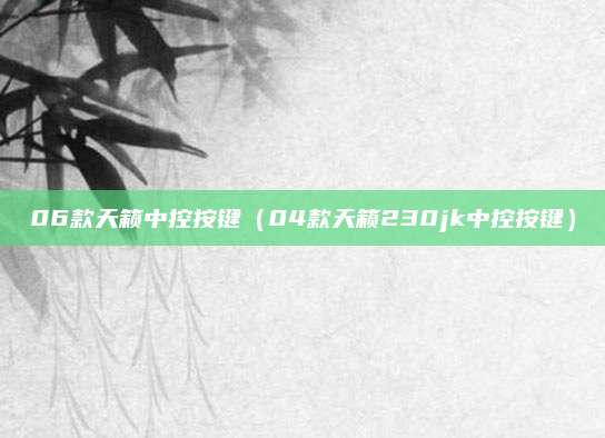 06款天籁中控按键(04款天籁230jk中控按键)