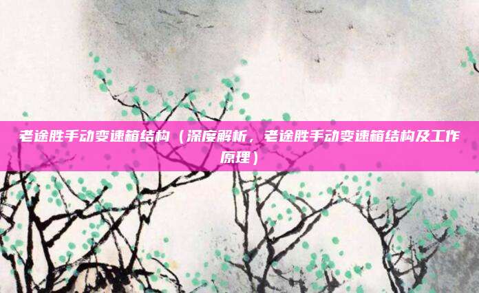 老途胜手动变速箱结构(深度解析,老途胜手动变速箱结构及工作原理)