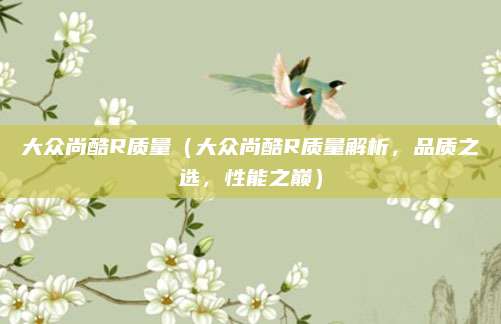 大众尚酷R质量(大众尚酷R质量解析,品质之选,性能之巅)