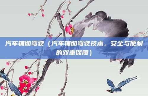 汽车辅助驾驶(汽车辅助驾驶技术,安全与便利的双重保障)