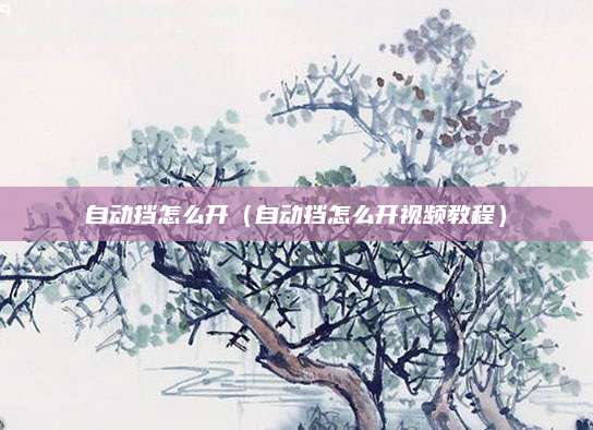 自动挡怎么开(自动挡怎么开视频教程)