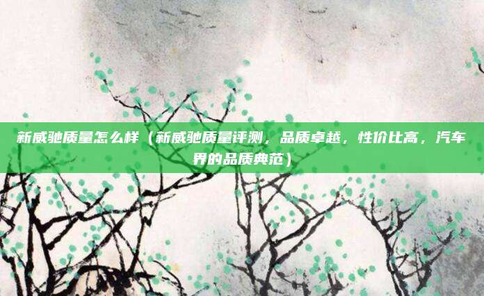 新威驰质量怎么样(新威驰质量评测,品质卓越,性价比高,汽车界的品质典范)