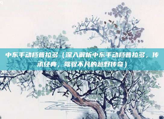 中东手动档普拉多(深入解析中东手动档普拉多,传承经典,驾驭不凡的越野传奇)