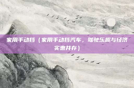 家用手动挡（家用手动挡汽车，驾驶乐趣与经济实惠并存）