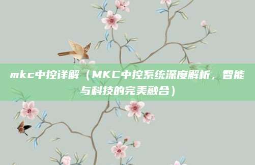 mkc中控详解(MKC中控系统深度解析,智能与科技的完美融合)