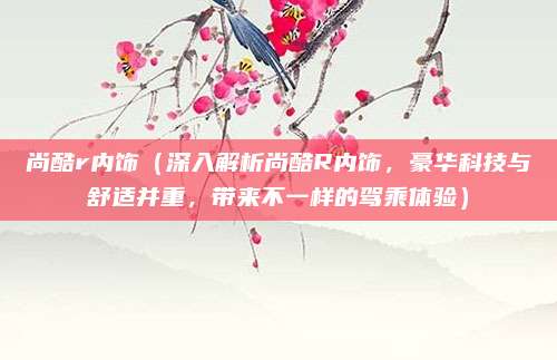 尚酷r内饰(深入解析尚酷R内饰,豪华科技与舒适并重,带来不一样的驾乘体验)
