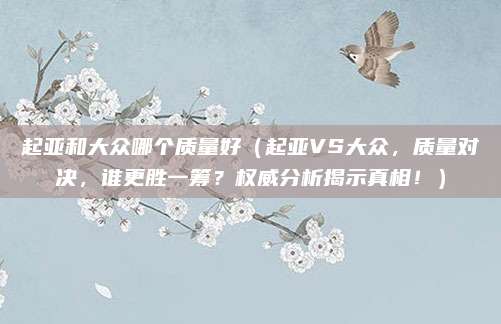 起亚和大众哪个质量好(起亚VS大众,质量对决,谁更胜一筹?权威分析揭示真相!)