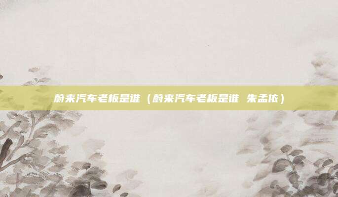 蔚来汽车老板是谁(蔚来汽车老板是谁 朱孟依)