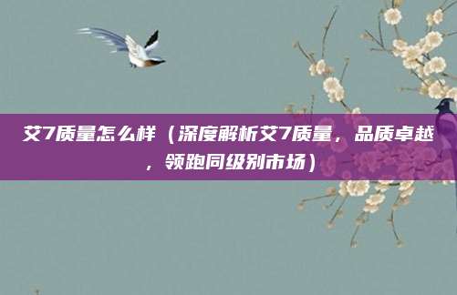 艾7质量怎么样（深度解析艾7质量，品质卓越，领跑同级别市场）