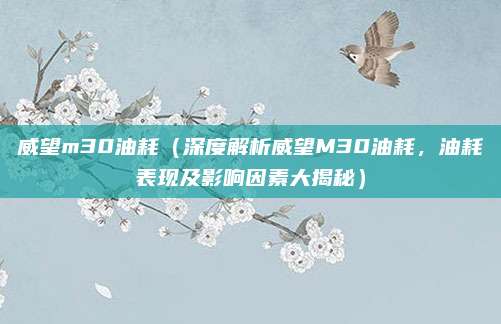 威望m30油耗(深度解析威望M30油耗,油耗表现及影响因素大揭秘)