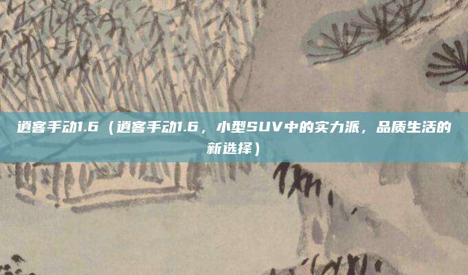 逍客手动1.6（逍客手动1.6，小型SUV中的实力派，品质生活的新选择）