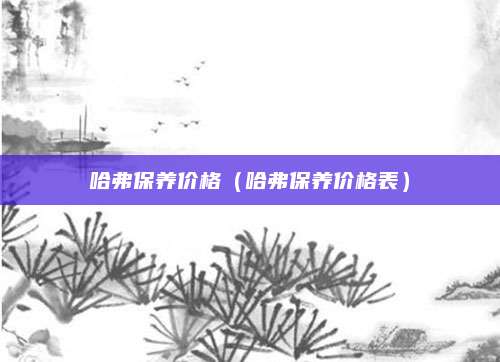 哈弗保养价格(哈弗保养价格表)