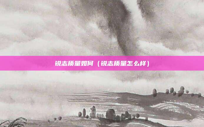 锐志质量如何(锐志质量怎么样)