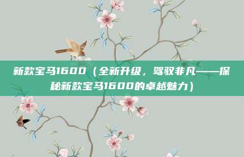 新款宝马1600（全新升级，驾驭非凡——探秘新款宝马1600的卓越魅力）