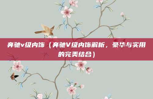 奔驰v级内饰（奔驰V级内饰解析，豪华与实用的完美结合）