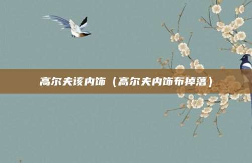 高尔夫该内饰(高尔夫内饰布掉落)