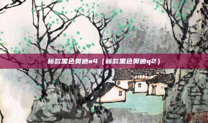 新款黑色奥迪a4（新款黑色奥迪q2）