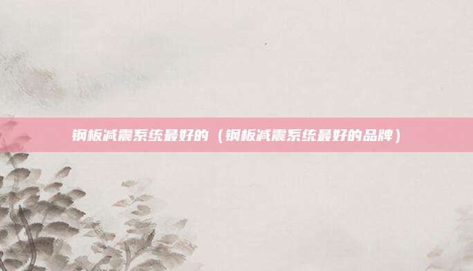 钢板减震系统最好的(钢板减震系统最好的品牌)