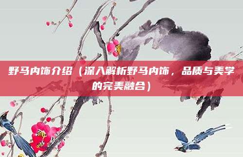 野马内饰介绍(深入解析野马内饰,品质与美学的完美融合)