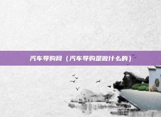 汽车导购网(汽车导购是做什么的)