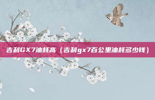 吉利GX7油耗高(吉利gx7百公里油耗多少钱)