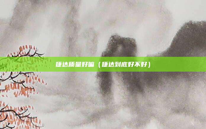 捷达质量好嘛(捷达到底好不好)
