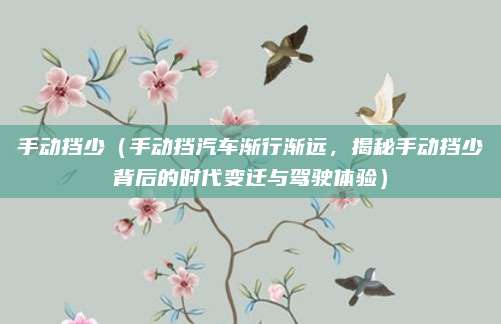 手动挡少（手动挡汽车渐行渐远，揭秘手动挡少背后的时代变迁与驾驶体验）