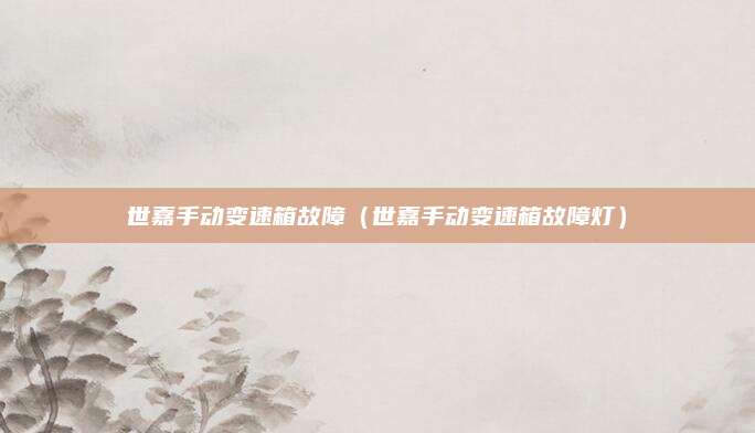 世嘉手动变速箱故障(世嘉手动变速箱故障灯)