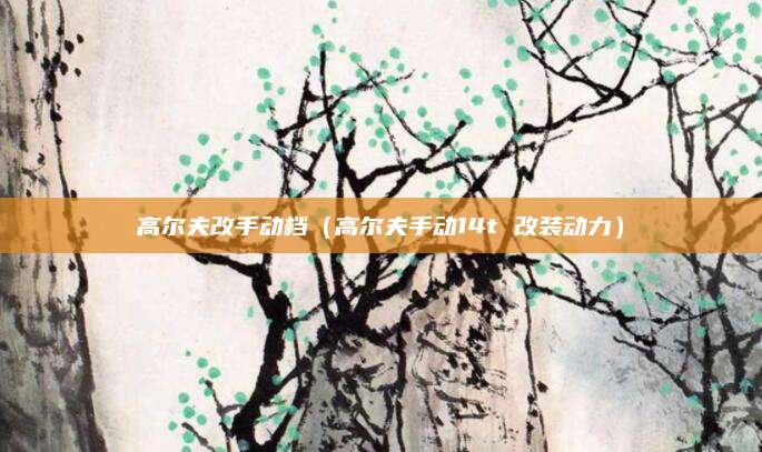 高尔夫改手动档(高尔夫手动14t 改装动力)