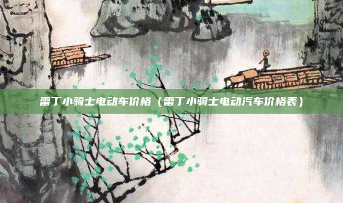 雷丁小骑士电动车价格(雷丁小骑士电动汽车价格表)