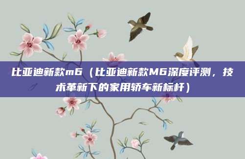 比亚迪新款m6(比亚迪新款M6深度评测,技术革新下的家用轿车新标杆)