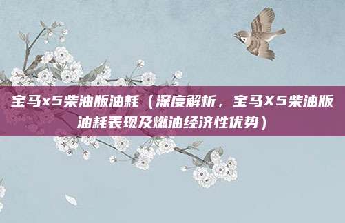 宝马x5柴油版油耗(深度解析,宝马X5柴油版油耗表现及燃油经济性优势)