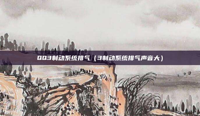 QQ3制动系统排气(3制动系统排气声音大)