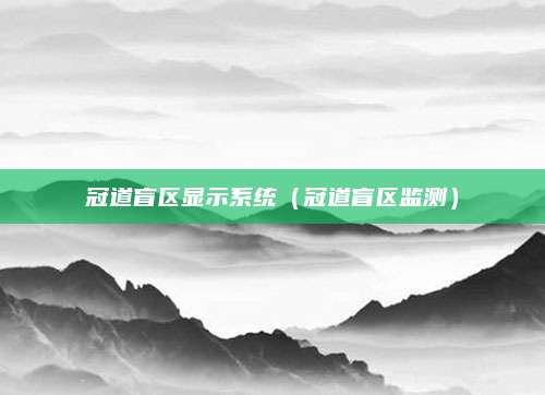 冠道盲区显示系统(冠道盲区监测)