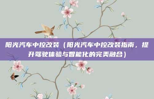 阳光汽车中控改装（阳光汽车中控改装指南，提升驾驶体验与智能化的完美融合）
