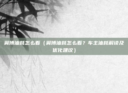 翼博油耗怎么看(翼博油耗怎么看?车主油耗解读及优化建议)