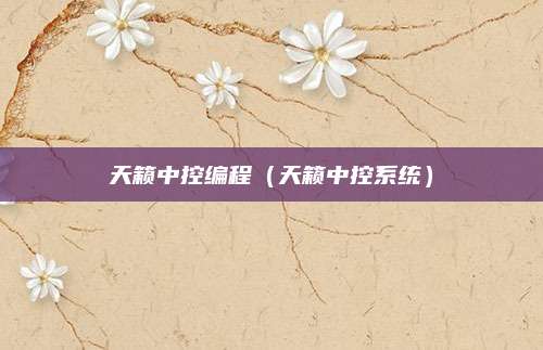 天籁中控编程(天籁中控系统)